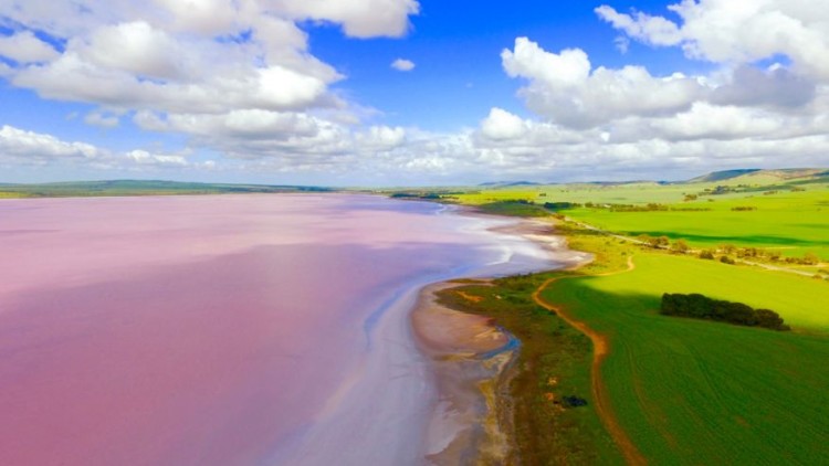 Insane drone photos of pink lakes, erupting volcanoes, and more