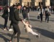 Notre-Dame: Hunt for ‘dad and daughter’ in photo goes viral